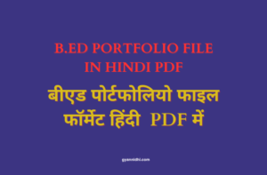 B.Ed Portfolio File PDF In Hindi Download